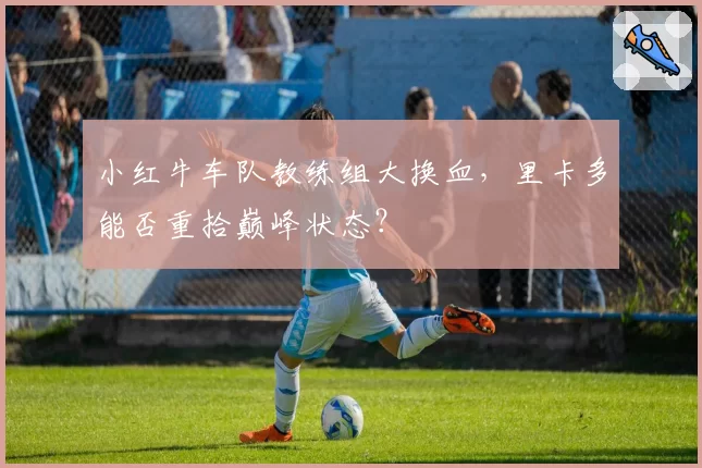 小红牛车队教练组大换血，里卡多能否重拾巅峰状态？