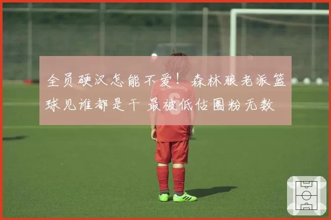 全员硬汉怎能不爱！森林狼老派篮球见谁都是干 最被低估圈粉无数