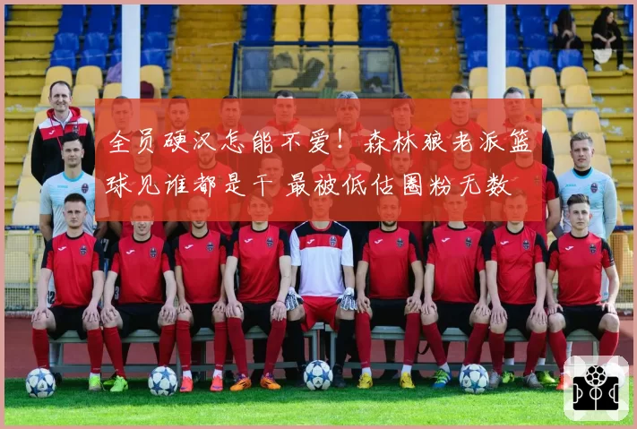 全员硬汉怎能不爱！森林狼老派篮球见谁都是干 最被低估圈粉无数